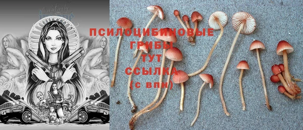спайс Няндома