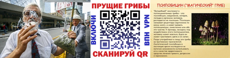 дарк нет состав  Геленджик  Псилоцибиновые грибы Psilocybe  МЕГА маркетплейс 